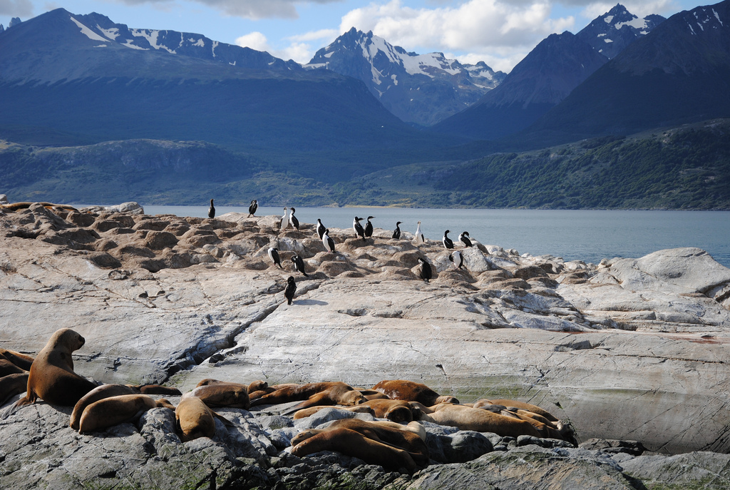 Ushuaia para amantes de la naturaleza