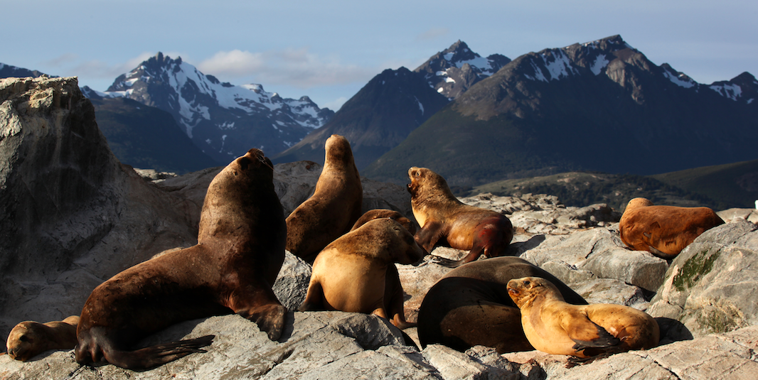 Ushuaia para amantes de la naturaleza