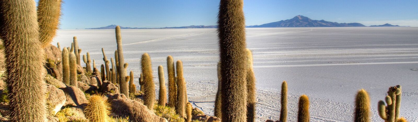 Tour del desierto