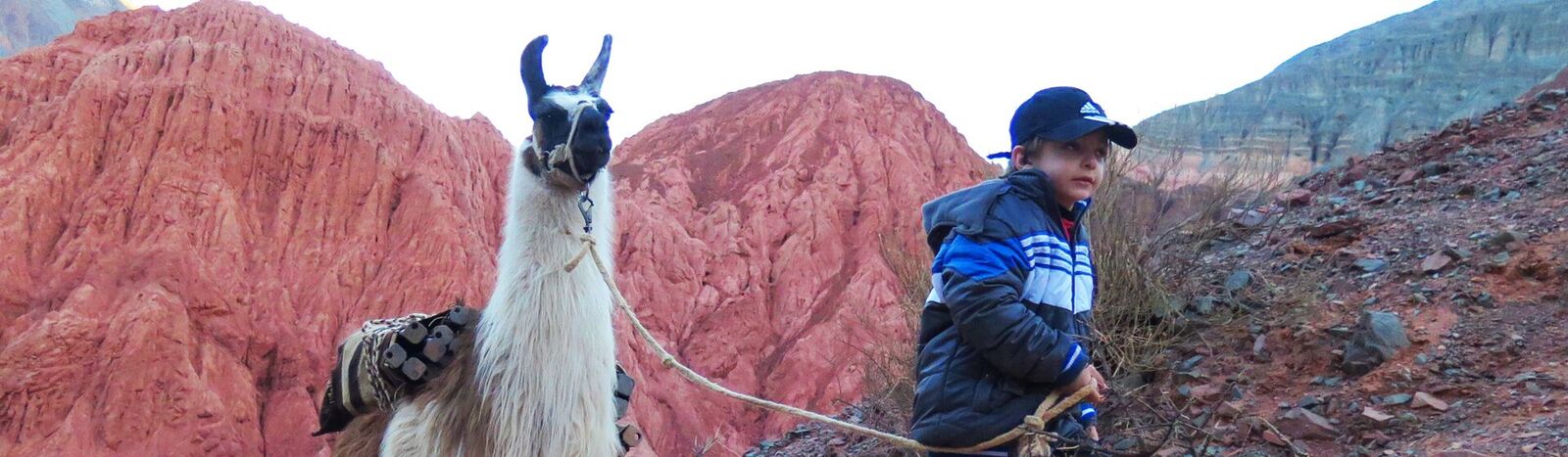 Tour del desierto