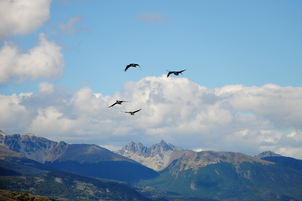 Ushuaia para amantes de la naturaleza