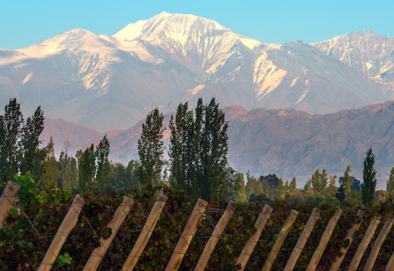 Amantes del vino - Buenos Aires, Mendoza y Santiago