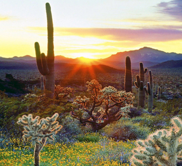 Northwest: Magic and Color 