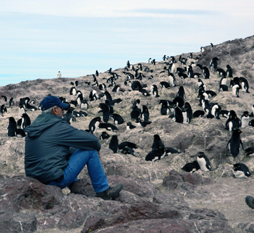 Ushuaia para amantes de la naturaleza