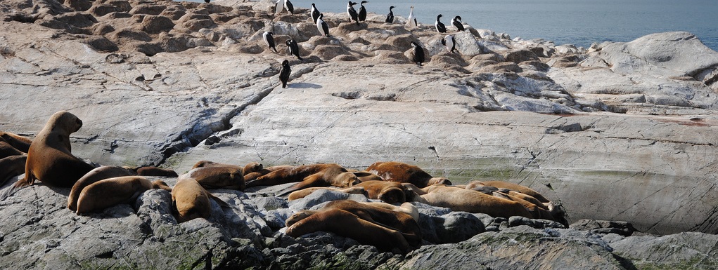 Ushuaia para amantes de la naturaleza
